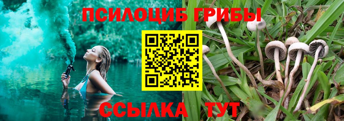 Псилоцибиновые грибы GOLDEN TEACHER Краснодар